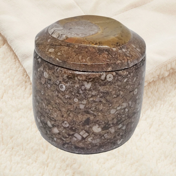 Ammonite Fossil on the Trinket Box's Lid. - Picture 6 of 9